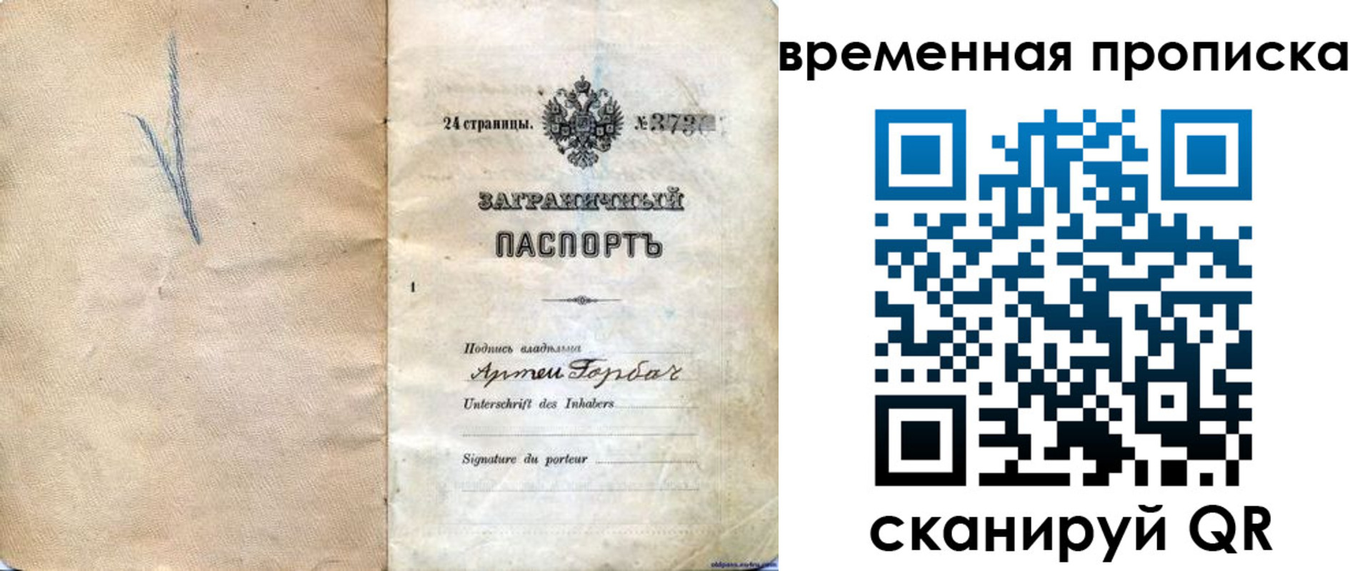 прописка поиск в Брянске